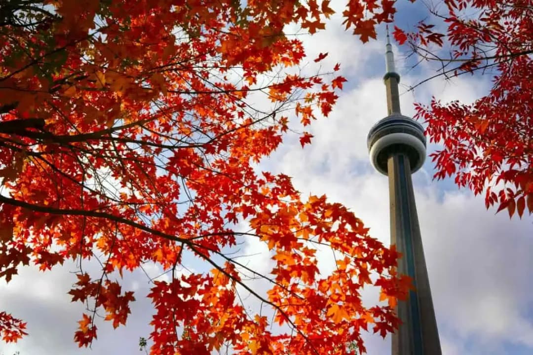 Five Canadian cities among the top 100 best cities to live in